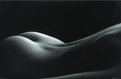 Picture Title - Soft Curves