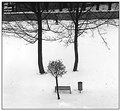 Picture Title - Park in winter