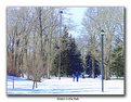 Picture Title - Winter in the Park