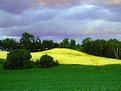 Picture Title - Fields & Sky