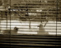 Picture Title - study
