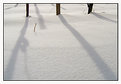 Picture Title - Shadows in the snow