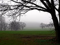 Picture Title - misty landscape