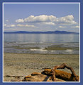 Picture Title - Cordova Bay Beach