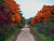 Autumn Pathway