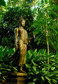 Picture Title - Buddah in the Morning Sun