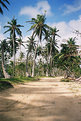Picture Title - The Road to Las Galeras