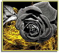 Picture Title - Black Rose on Gold