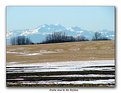 Picture Title - Prairie view to the Rockies