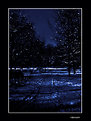 Picture Title - night in park