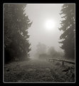 Picture Title - foggy Day