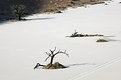 Picture Title - Namib