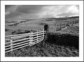 Picture Title - Pen Y Fan