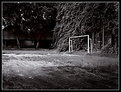 Picture Title - Lonely Goal
