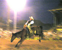 Picture Title - Bronc Rider revisited