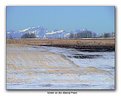 Picture Title - Winter on the Alberta Prairie