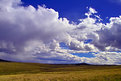 Picture Title - Colorado Prarie