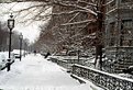 Picture Title - winter in boston