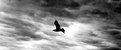 Picture Title - Alone # 3