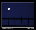 Picture Title - Moon and grill