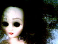 Picture Title - Bella-14