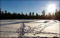 Picture Title - Winter tracks