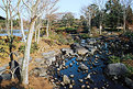 Picture Title - Showa Park