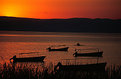 Picture Title - Lake Chapala