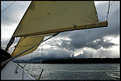 Picture Title - Sailing Mood