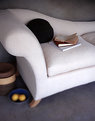 Picture Title - alison's white sofa