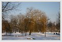 Picture Title - Winterscene