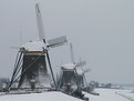 Picture Title - 3 Molens bij Stompwijk in de sneeuw 3 maart 2005