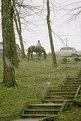 Picture Title - Bleak Winter in Bulgaria