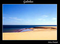 Picture Title - Galinhos