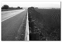 Picture Title - country highway