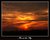 Fire in the Sky
