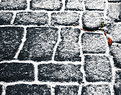 Picture Title - Snow On Cobbles