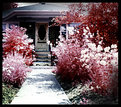 Picture Title - House. (IR)