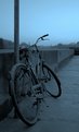 Picture Title - Blue bicycle