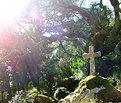Picture Title - Sintra - 9