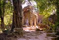 Picture Title - Cambodia,angkor,entrance of Banta Srei Temple