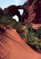 Picture Title - Double Arch