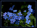 Picture Title - April Blue