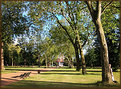 Picture Title - Parkscape with a sunworshiper