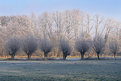 Picture Title - A winter morning