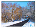 Picture Title - Winter