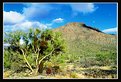 Picture Title - Arizona Desert