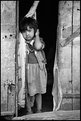 Picture Title - india - curious