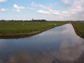 Picture Title - Zwanen in de Polder