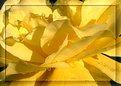Picture Title - Waves of Sunshine